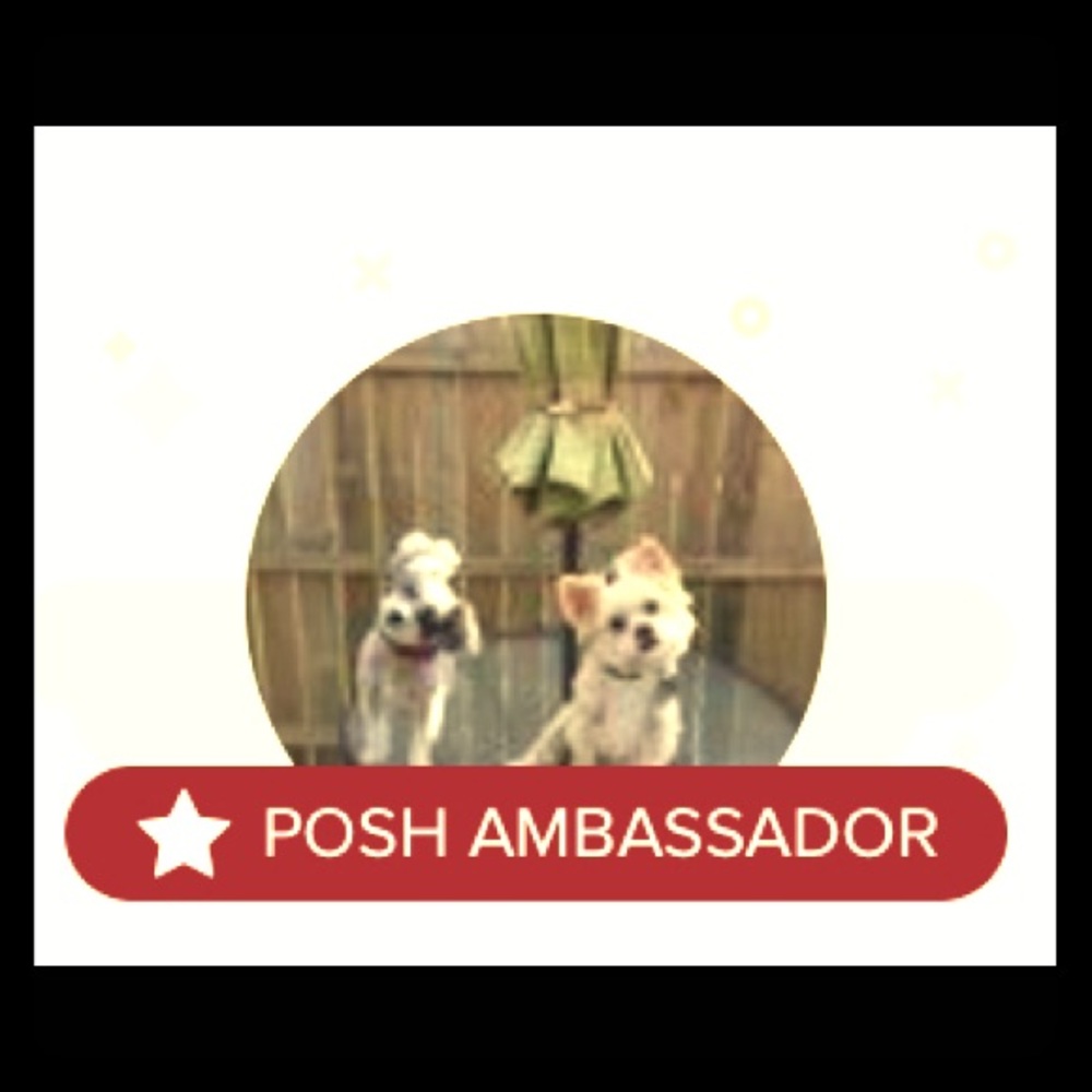 I’m a Posh Ambassador! Shop with me!
